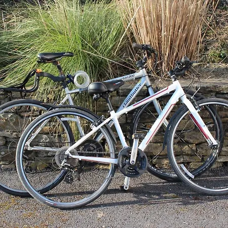 Bayview * 트로기르