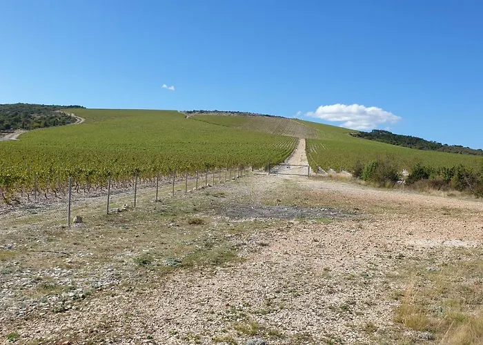 Bayview * 트로기르