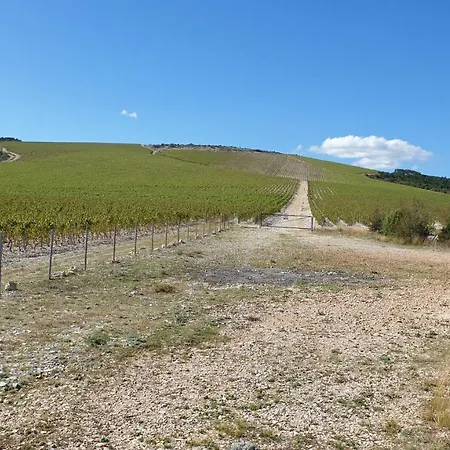 Bayview * Τρογκίρ